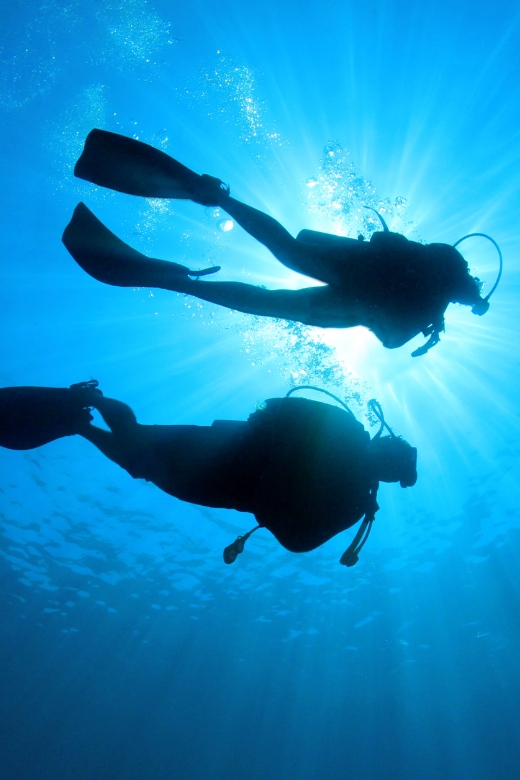 Lombok Diving Retreat at Lombok and the Gili Island