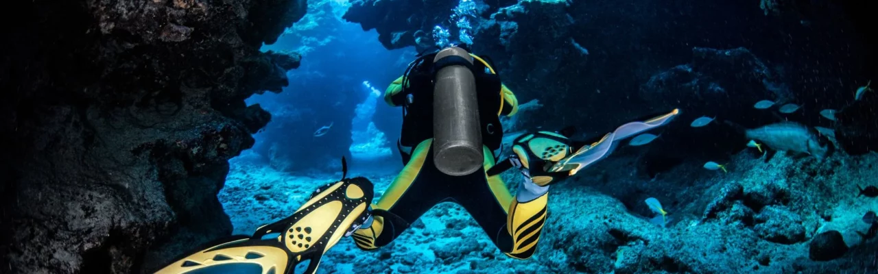 gili island diving under the sea and coral reef