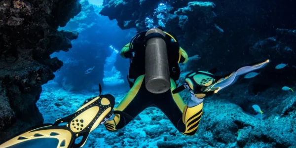 gili island diving under the sea and coral reef